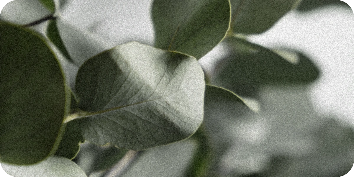 Goldenpeak SUPER SUSTAINABLE SLEEPWEAR